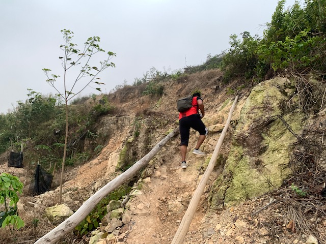 Bukit Tok Dun hike | POKOK KELAPA