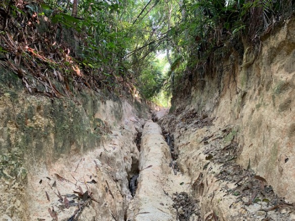 Bukit pau trail